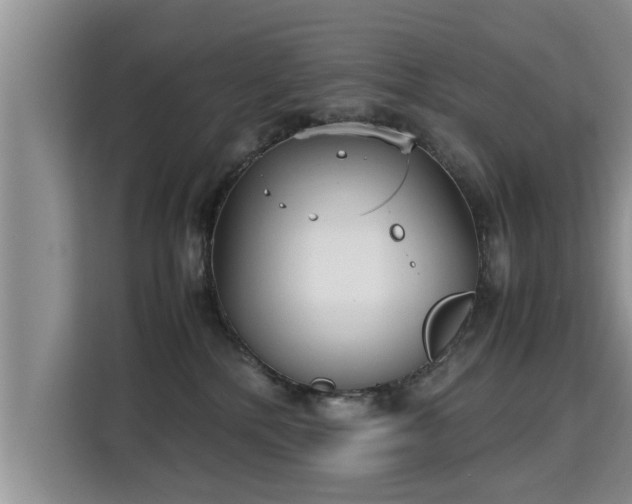 X0000115740232200911191451