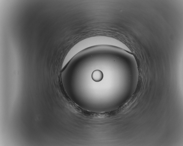 X0000115740235200911191451