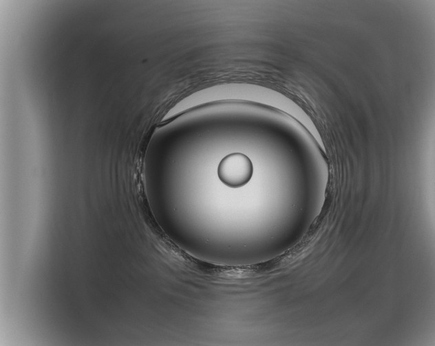 X0000115740237200911191451