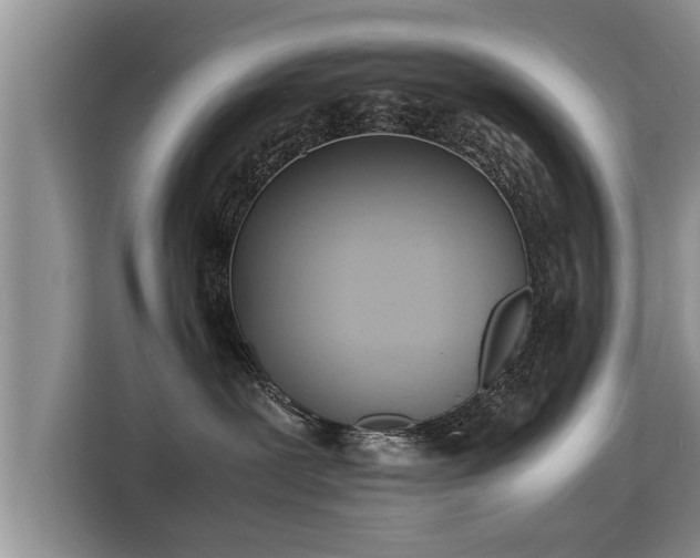 X0000115740239200911191451