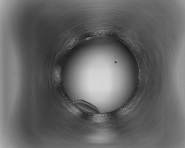 X0000115740240200911191451