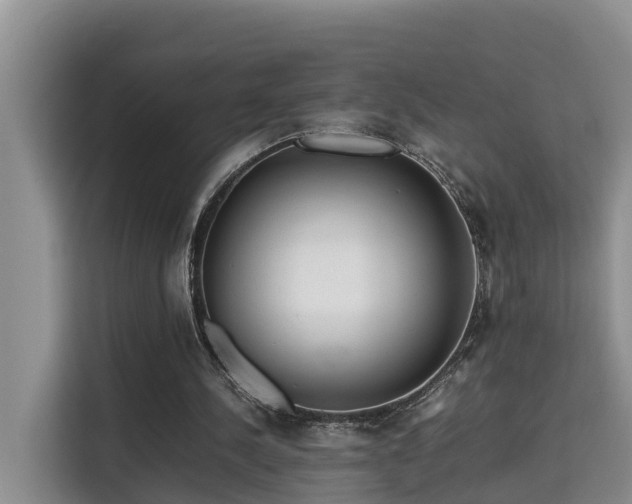 X0000115740244200911191451