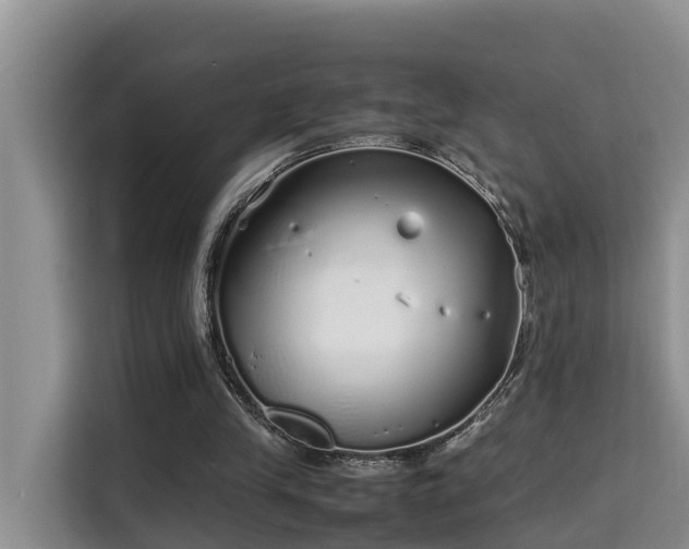 X0000115740245200911191451