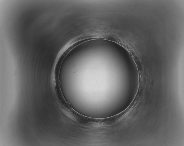 X0000115740246200911191451