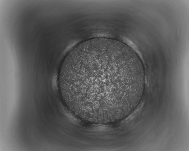 X0000115740249200911191451