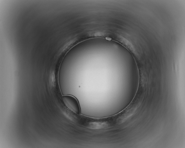 X0000115740251200911191451