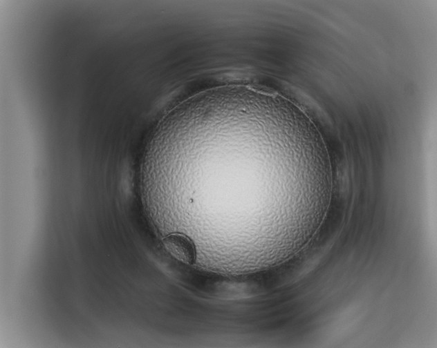 X0000115740255200911191451