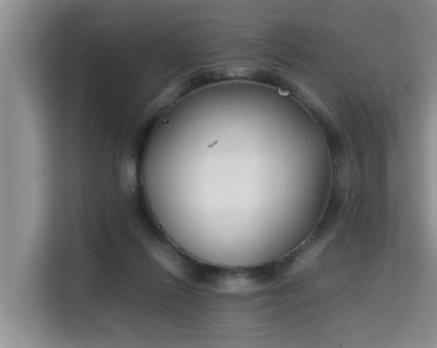 X0000115740262200911191451