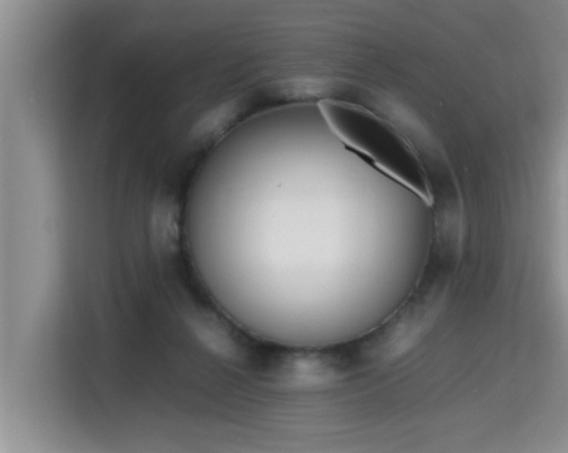 X0000115740264200911191451