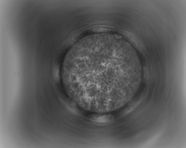 X0000115740267200911191451