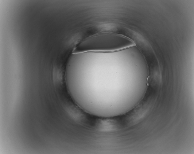 X0000115740268200911191451