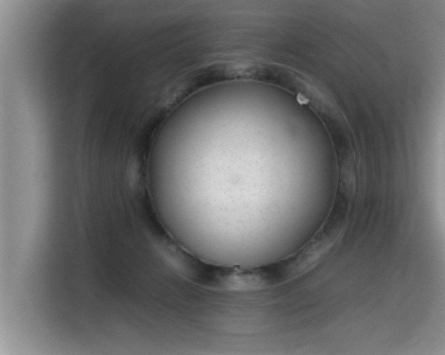 X0000115740270200911191451