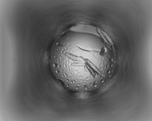 X0000115740273200911191451