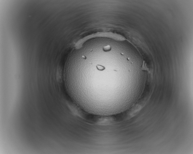 X0000115740274200911191451