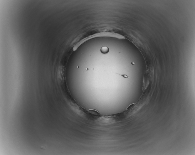 X0000115740280200911191451