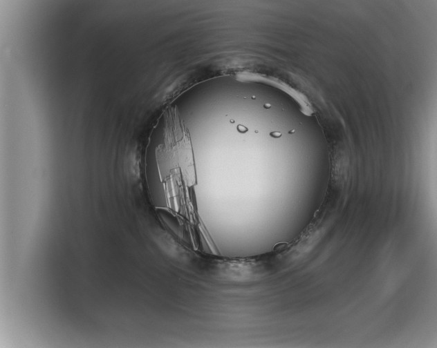 X0000115740282200911191451