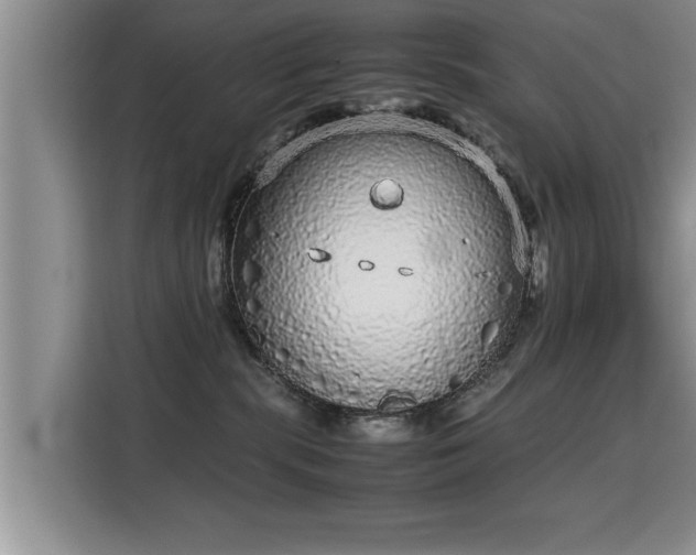 X0000115740283200911191451