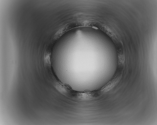 X0000115740286200911191451