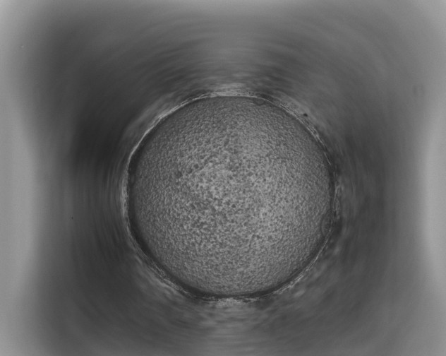 X0000115740290200911191451