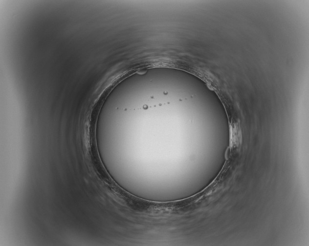 X0000115740291200911191451