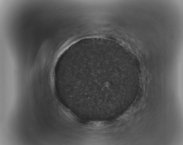 X0000115740295200911191451