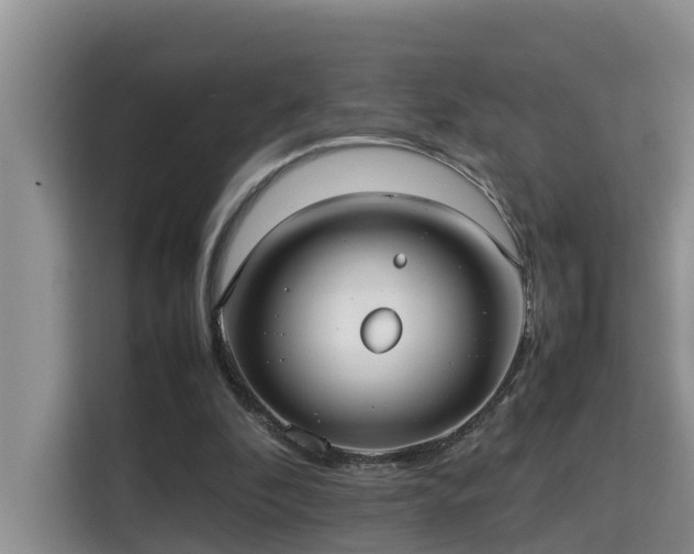 X0000115740296200911191451