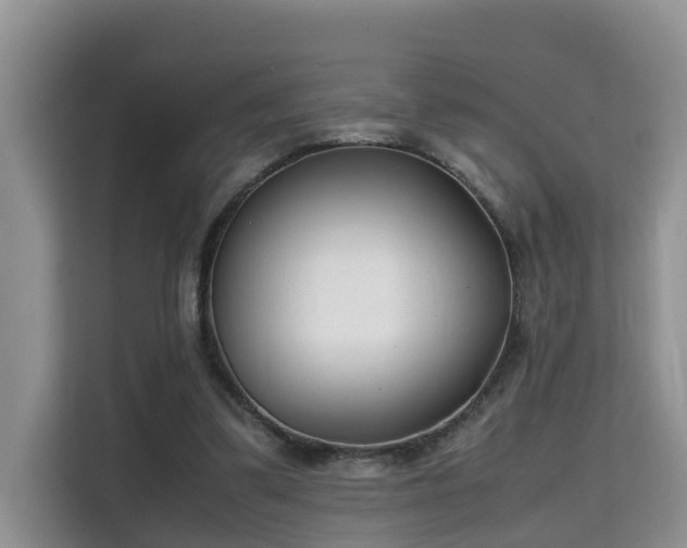 X0000115740299200911191450