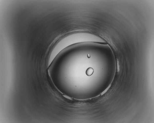 X0000115740300200911191450