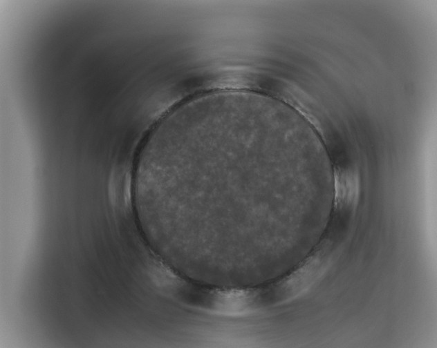 X0000115740301200911191450