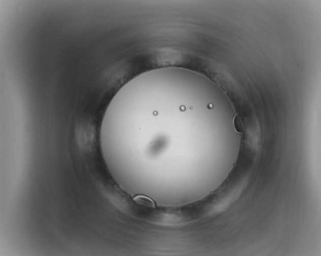 X0000115740308200911191450