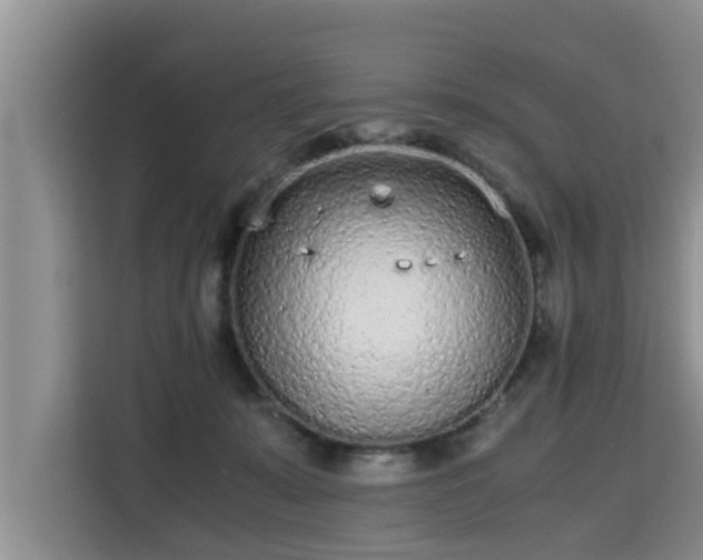 X0000115740319200911191450