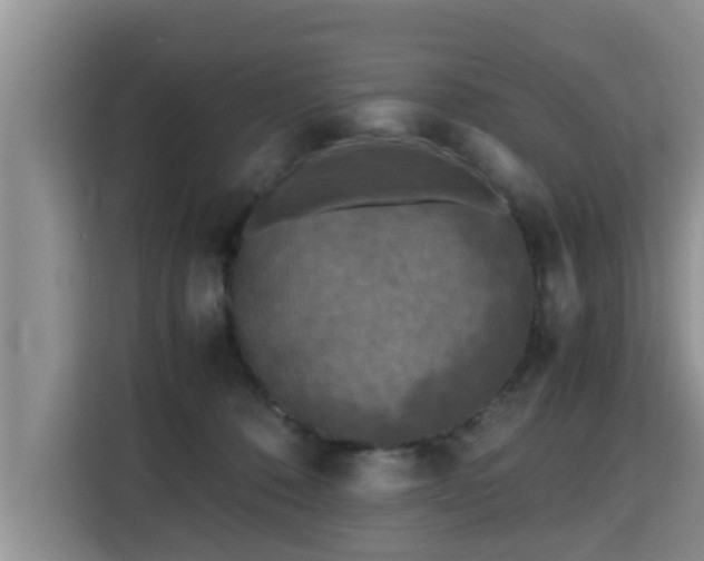 X0000115740320200911191450