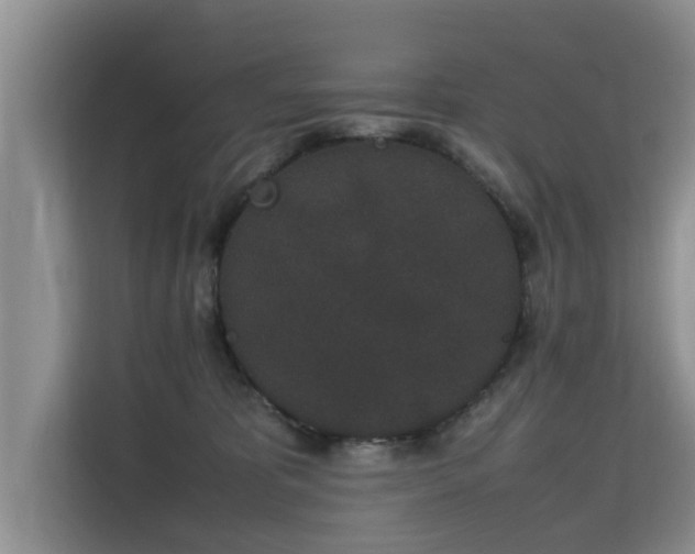 X0000115740325200911191450