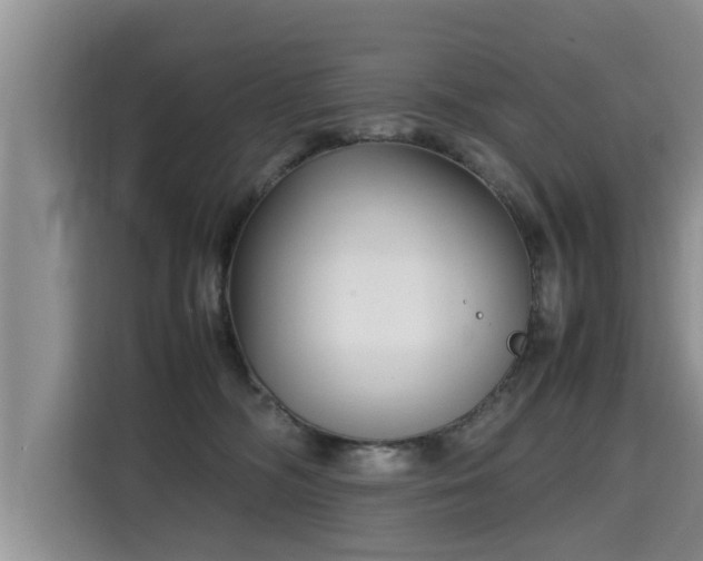 X0000115740326200911191450