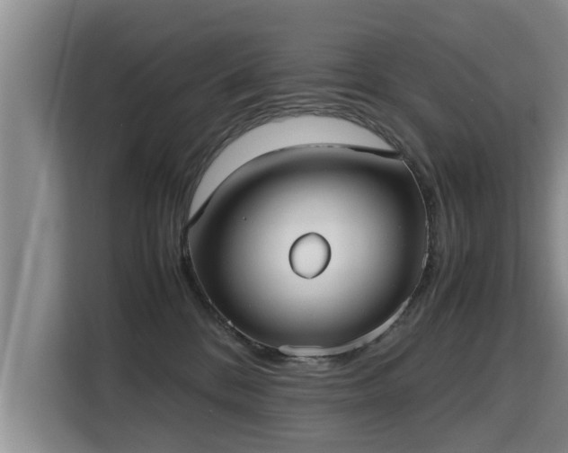 X0000115740328200911191450