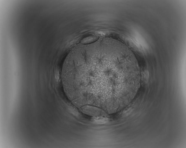 X0000115740331200911191450