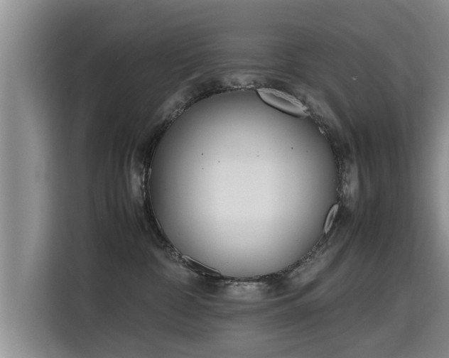 X0000115740332200911191450