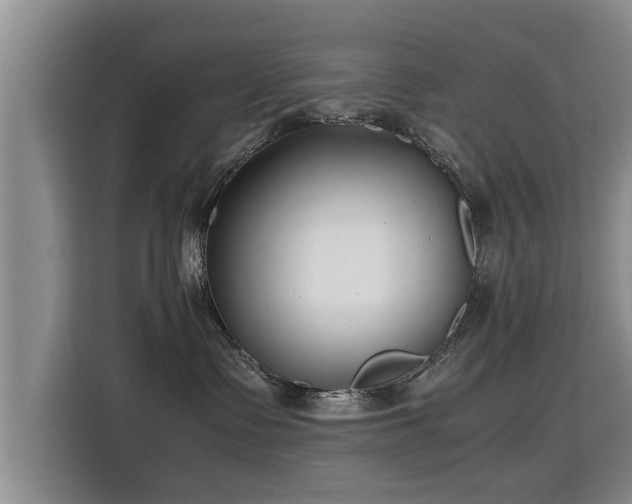 X0000115740335200911191450