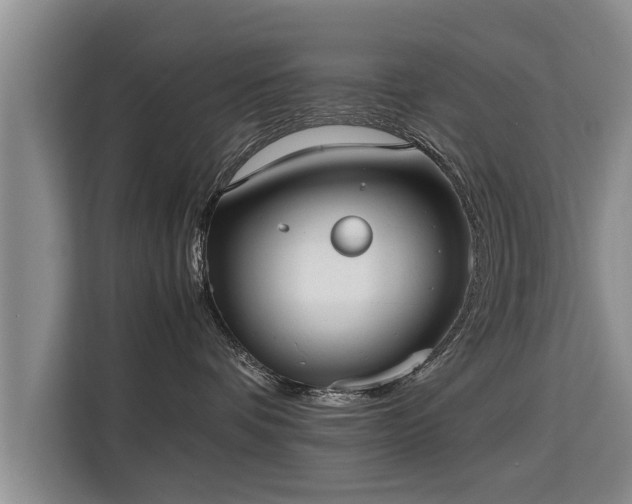 X0000115740336200911191450