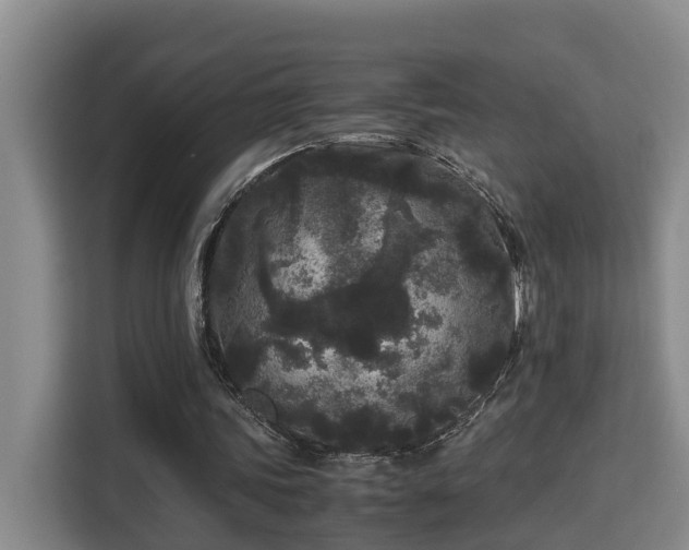 X0000115740339200911191449