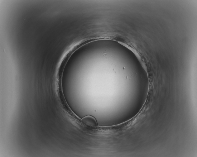 X0000115740342200911191449