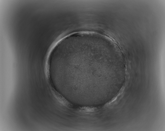 X0000115740343200911191449