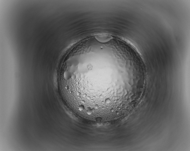 X0000115740345200911191449