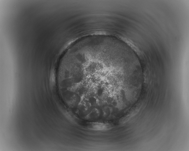 X0000115740347200911191450