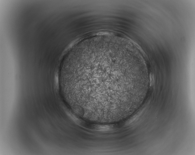 X0000115740349200911191450