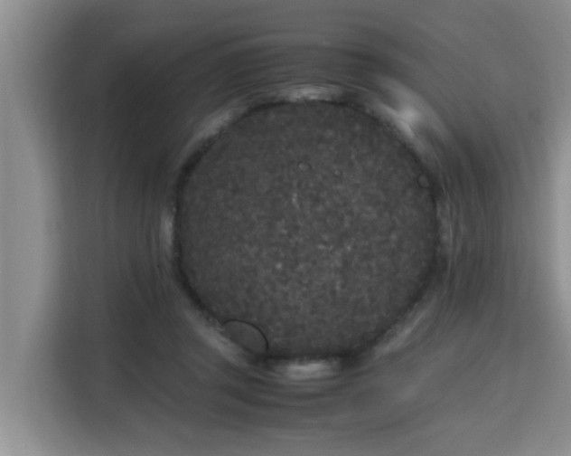 X0000115740357200911191450