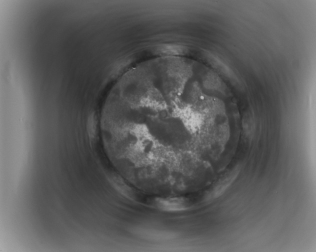 X0000115740359200911191450