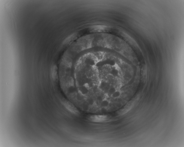 X0000115740361200911191450