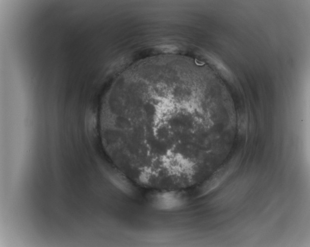 X0000115740365200911191450