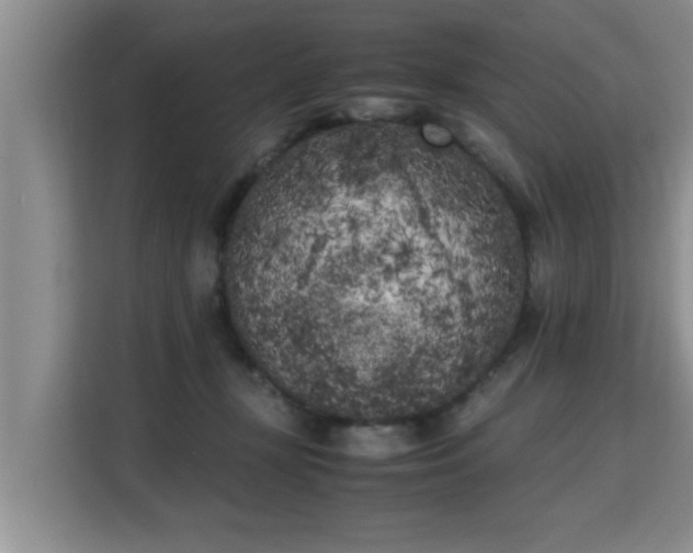 X0000115740367200911191450